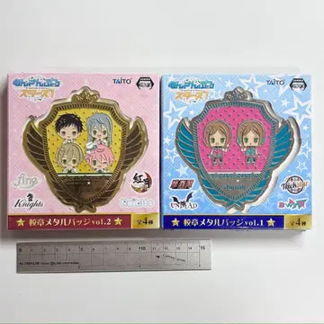 앙스타 학교 휘장 메탈 배지 fine 2wink