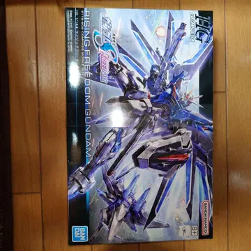 HG 라이징 프리덤 건담