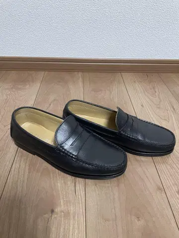 다니엘 레폴리 코인 로퍼