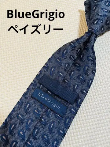 BlueGrigio 유니버설 랭귀지 페이즐리 무늬 넥타이