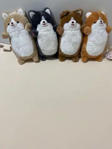 니기리 코기 4세트