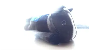 이퀴녹스 쿠이 봉제 인형
