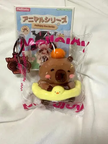 Mellojoy 헤엄치는 카피바라