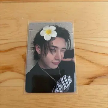 straykids 스키즈 karma 에버라인 everline 방찬