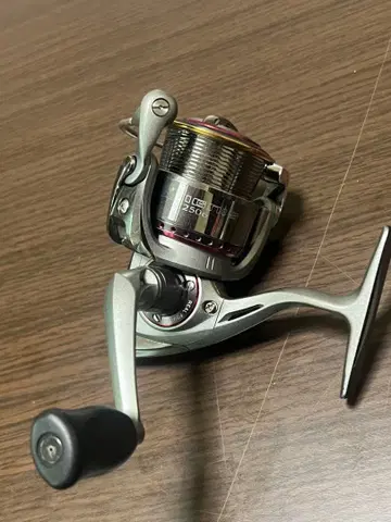 DAIWA IGNIS 2506