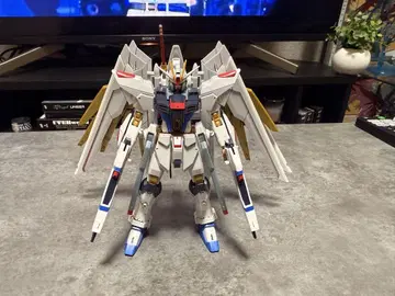 HGCE 스트라이크 프리덤 건담+프라우드 디펜더