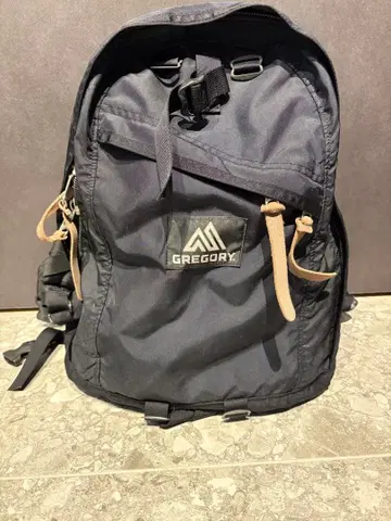 GREGORY 블랙 백팩