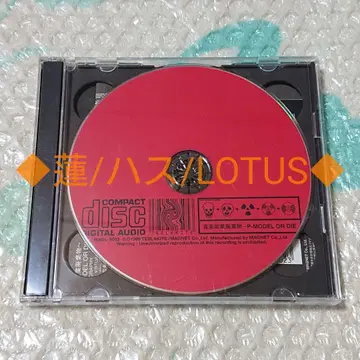 P-MODEL/CD/음악 산업 폐기물