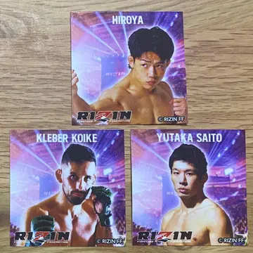 RIZIN 스티커 3장 세트