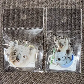 카나자와 동물원 코알라 포포로 아크릴 키링 2개 세트
