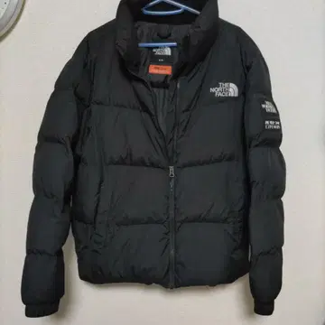 THE NORTH FACE 블랙 다운 자켓 M