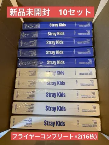 Stray Kids KARMA CD 10장 플라이어 컴플리트 x 2