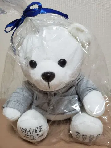 CNBLUE WHITE 곰 봉제 인형