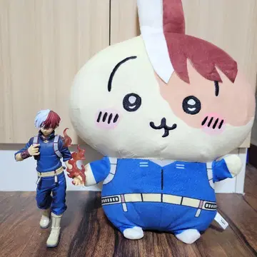 히로아카 토도로키