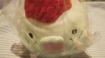 호오즈키의 냉철 패스 케이스 금붕어풀