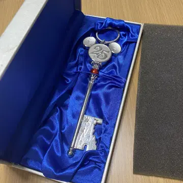 도쿄 디즈니 리조트 25주년 키링 열쇠