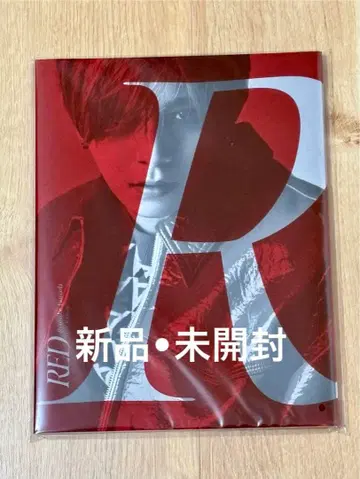 [ 새상품 미개봉 ] 야마다 료스케 RED 팜플렛