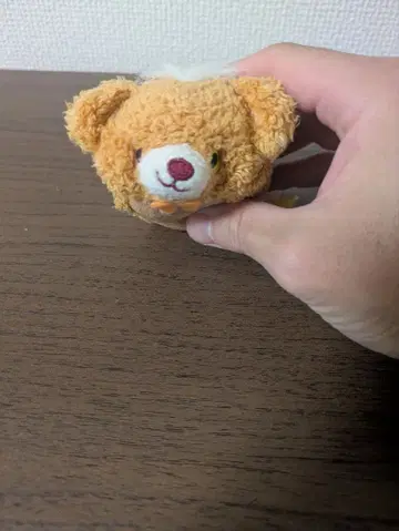 디즈니 썸썸 유니베어시티