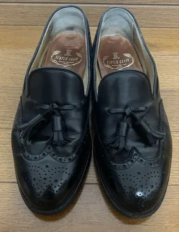 스코치 그레인 태슬 로퍼 윙 칩 25cm 3613