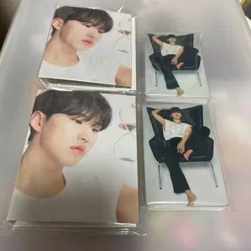 SEVENTEEN [ 17 is right here ] 캐럿반 호시