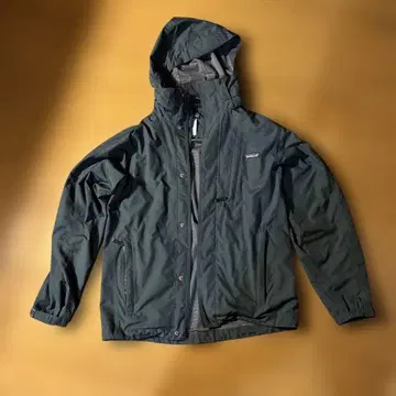 patagonia 남성용 마운틴 후드티 S 다크 그린