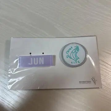SEVENTEEN 준 배지 세트