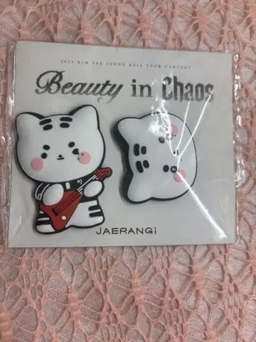 재중 Beauty in Chaos 캐릭터 마그넷 세트
