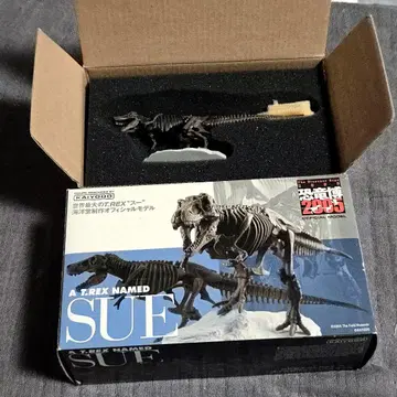 카이요도 T.REX SUE