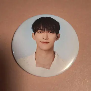 SEVENTEEN _NEW 캔뱃지 DK 도겸