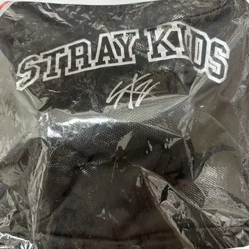 StrayKids 스키즈 dominATE 에코파 아 아 굿즈