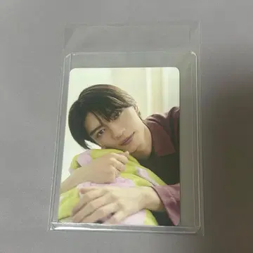teaflex 모쿠다이 카즈토 트레이딩 카드