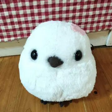 복복 시마연가 컬러풀 시마짱 봉제 인형 핑크 거베라
