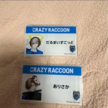CRAZY RACCOON 핀 배지 2개 세트