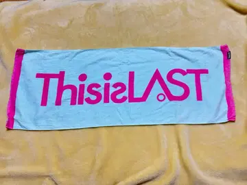 thisislast 타월
