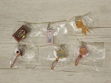 CC 사쿠라 메지루시 액세서리 전종