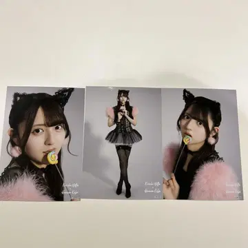 쿠보 히나노 AKB48 랜덤 브로마이드 샤무고양이