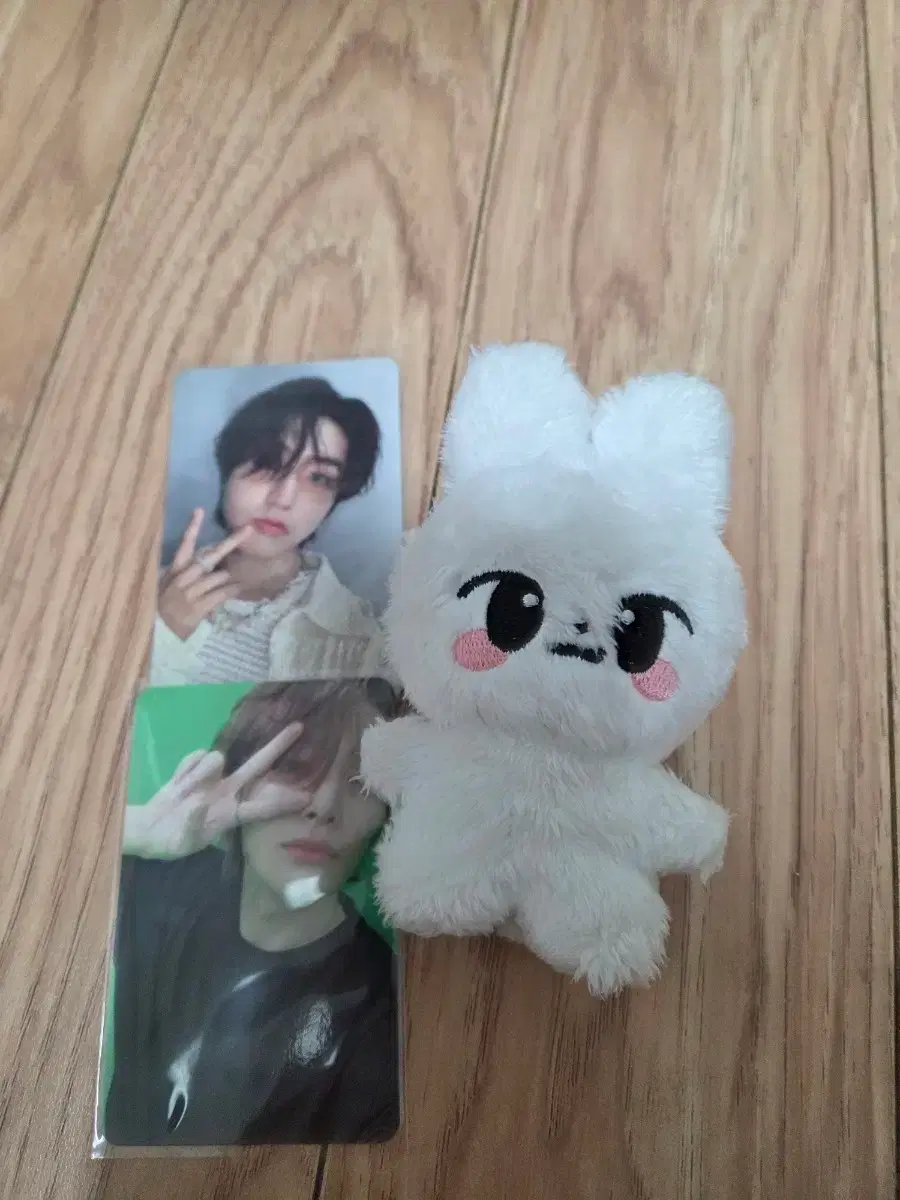 Lee Know unofficial doll, i.n + Han album photocard