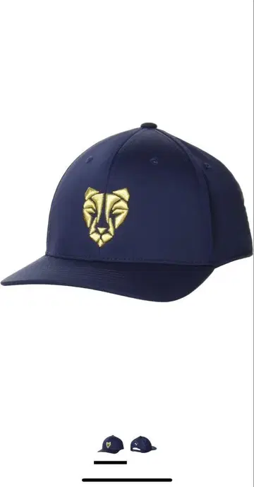 [레어] 푸마 골프 캡