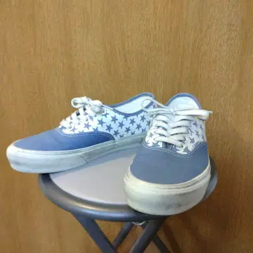 vans x 비앙카 샹동 오센틱 26.0