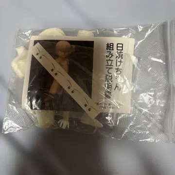 레진 키트 번뇌정 일광화상쨩