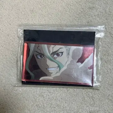 Dr.STONE 대시 스토어 아쿠브로 센쿠