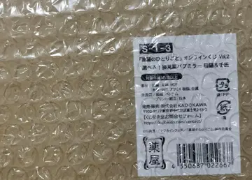 약사의 혼잣말 제비뽑기당 월정 S상 전신 거울풍 팝업 거울 마오마오 진시