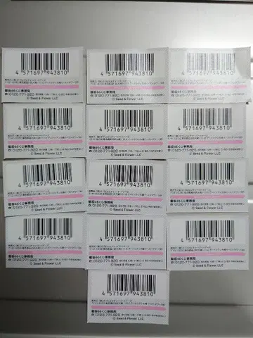 사쿠라자카46 로손 제일복권 응모권 13장