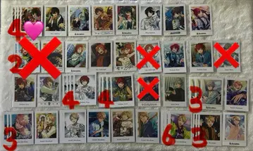 Knights 파샤츠 모음