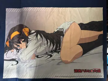 스즈미야 하루히의 대성 혜택 태피스트리 포스터