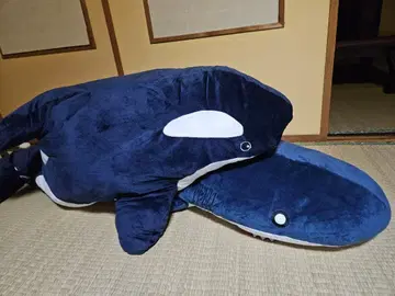상어 범고래 봉제 인형 [ 인형뽑기 경품 ]
