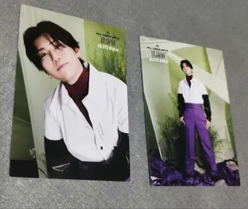 Mrs.GREENAPPLE 와카이 히로토 Utopia 사진 카세트 1