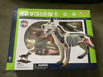 4D MASTER 4D VISION DOG ANATOMY MODEL