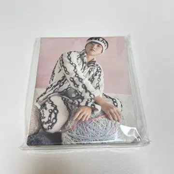 seventeen 아이노치카라 사진 캔버스 호시