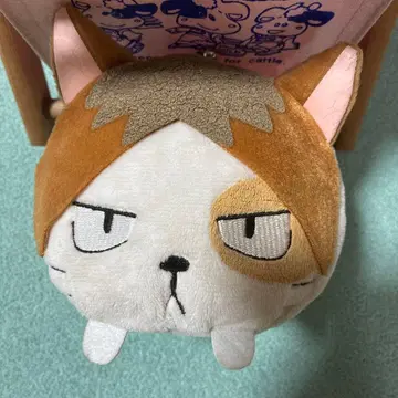 하이큐! 코즈메 켄마 가마구치 봉제 인형 켄마 고양이
